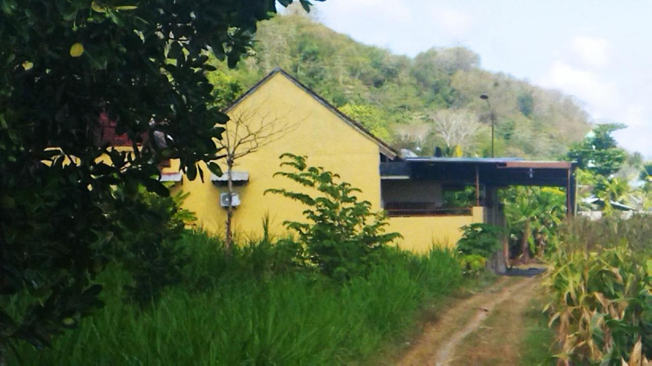 Homestay Bougenville *
