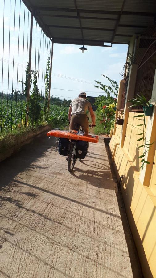 Bougenville Homestay *