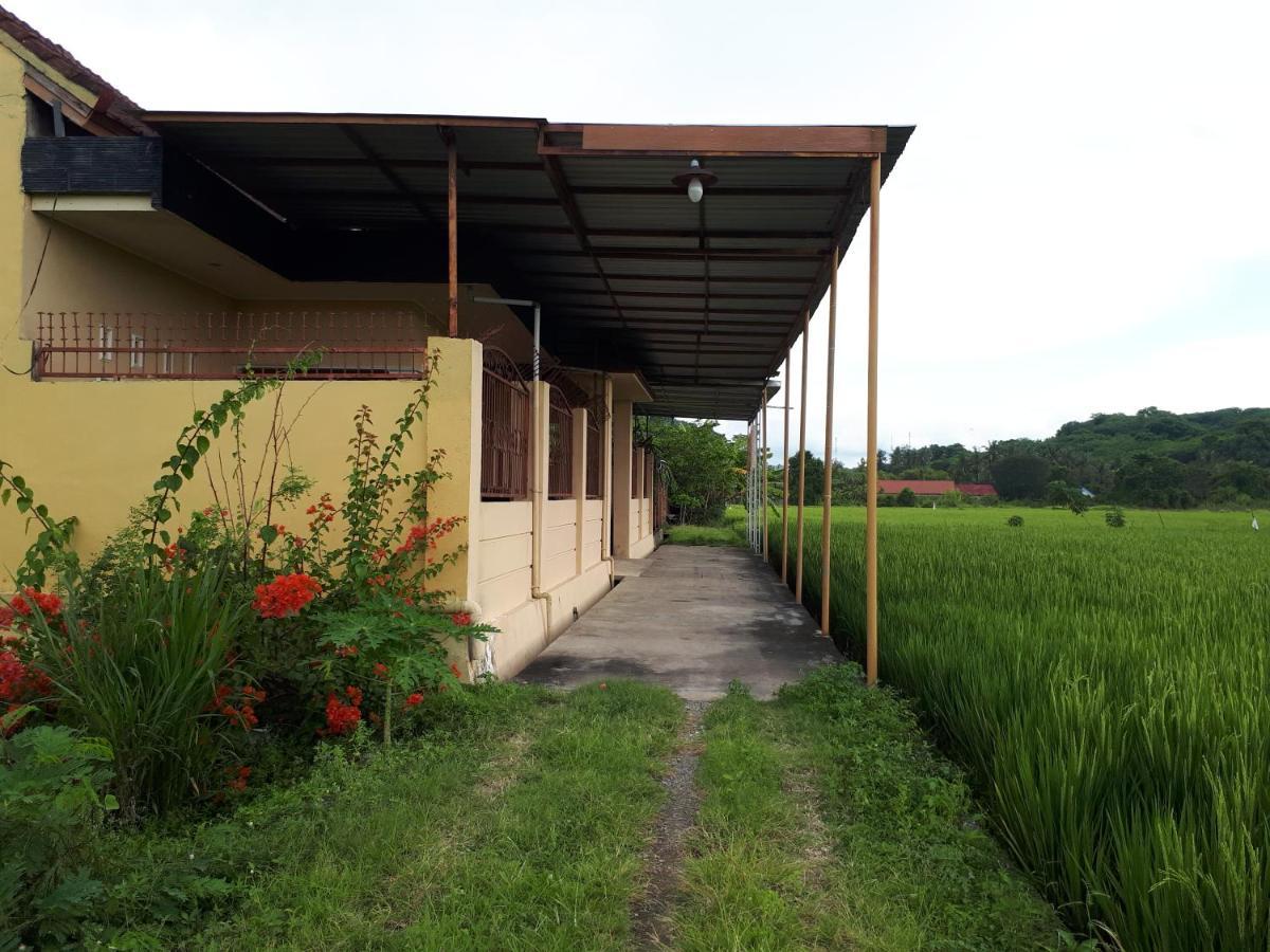 Homestay Bougenville