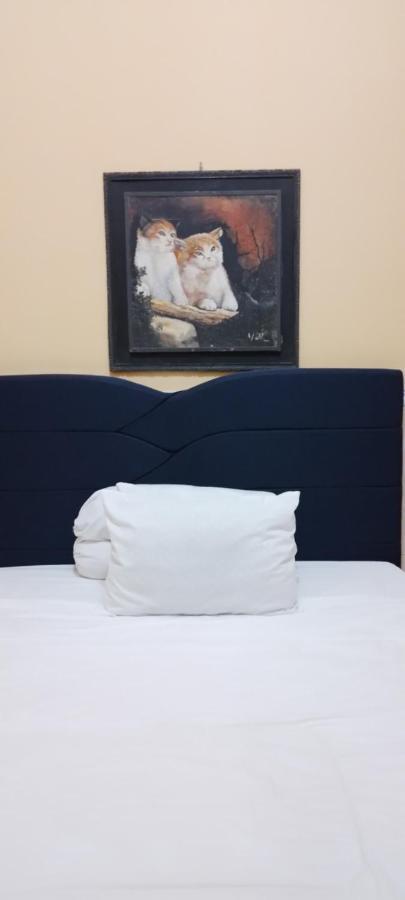 Homestay Bougenville